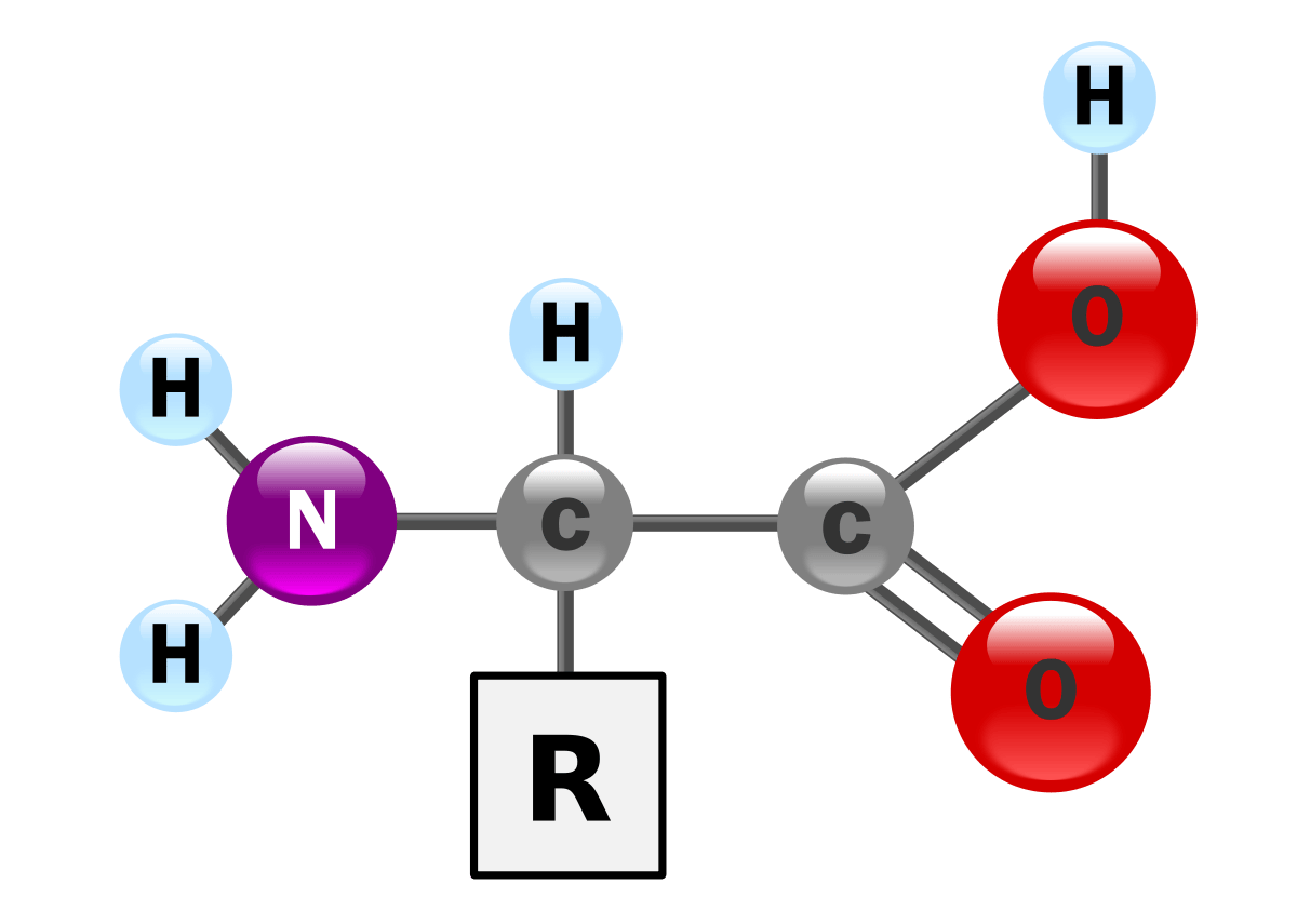 Amino-acids